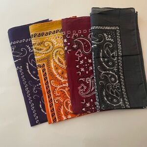 Colorful Paisley Bandana Set